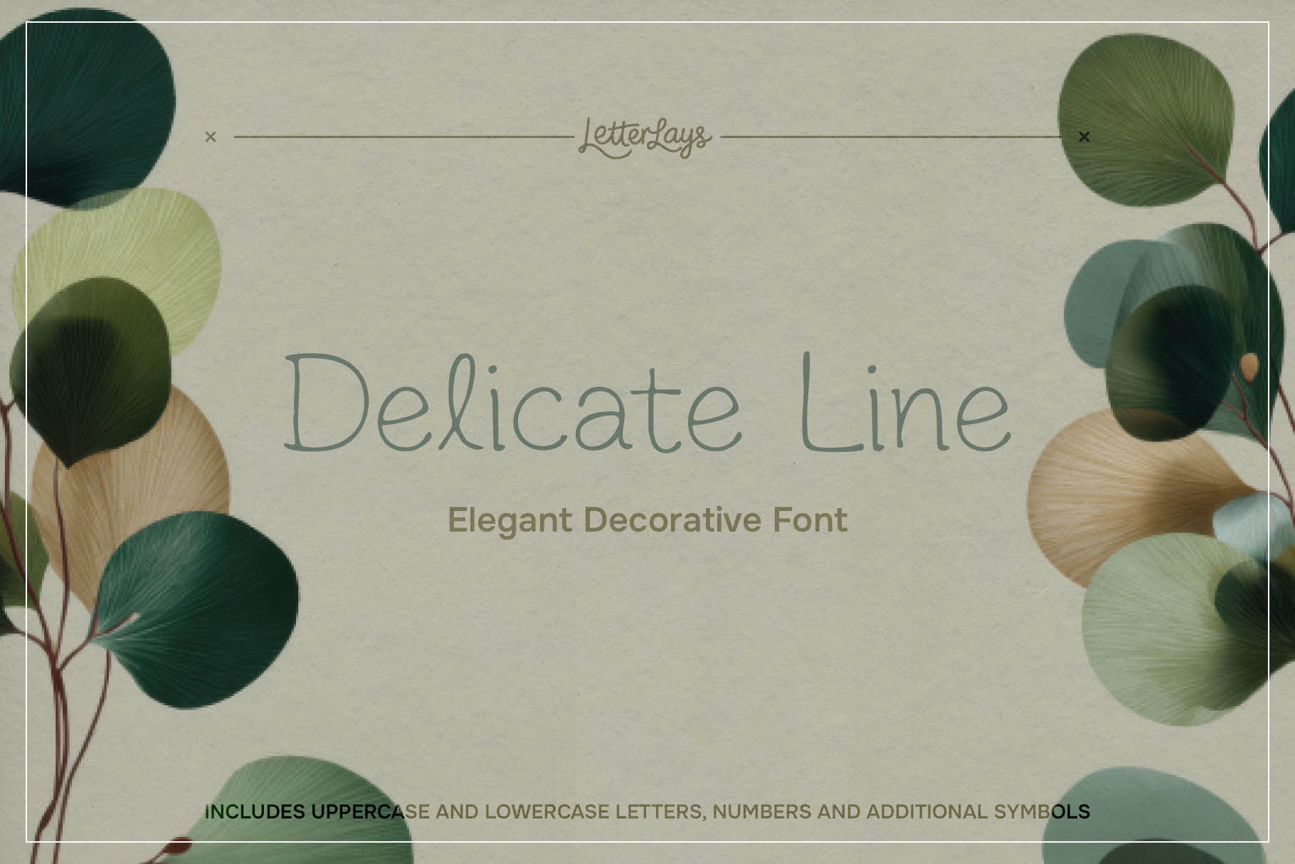 Delicate Line Cover Artwork