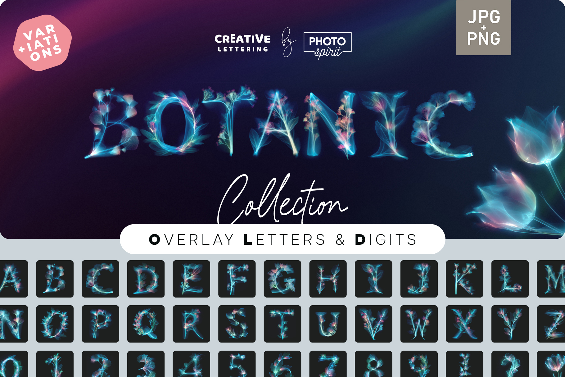 X-Ray Botanical Preview